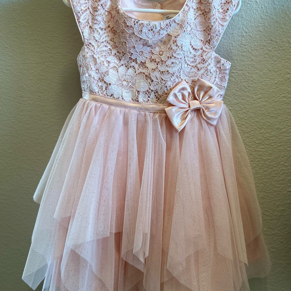 Toddler Girl Blush Pink Dress
